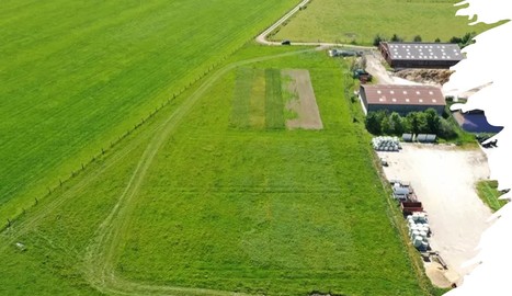 Deux pistes prometteuses pour rénover une prairie sans glyphosate et sans labour | Lait de Normandie... et d'ailleurs | Scoop.it