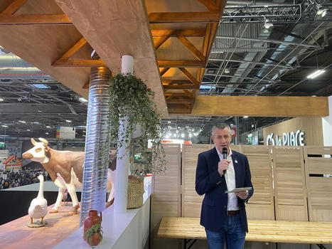 Lidl investit 1,4 million d’euros dans le bien-être des porcs | Actualité Bétail | Scoop.it