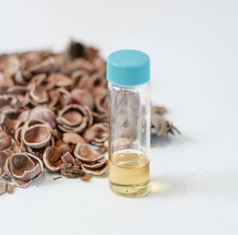 Barry Callebaut convertit les coques de noisettes en vanilline / Ingr&eacute;dients - Process Alimentaire | AGROALIMENTAIRE | Scoop.it