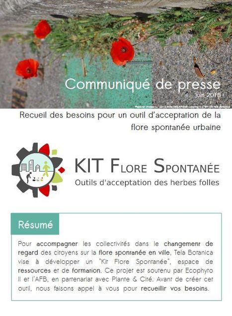 Recueil des besoins pour développer un "Kit Flore Spontanée", espace de ressources et de formation | Insect Archive | Scoop.it