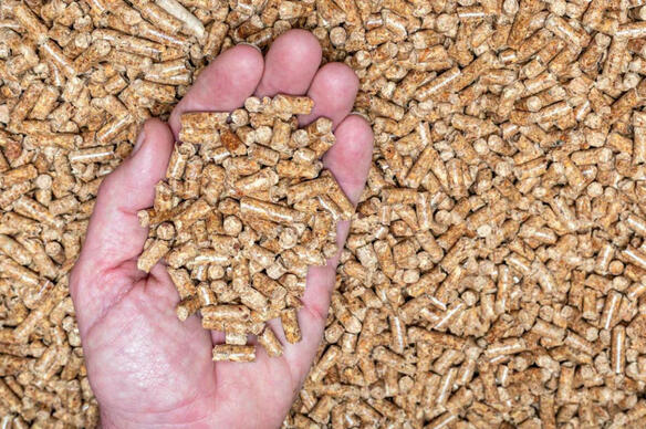 « Beaucoup d'avantages, peu d'inconvénients », produire ses pellets coûte 5 à 10 fois moins cher !