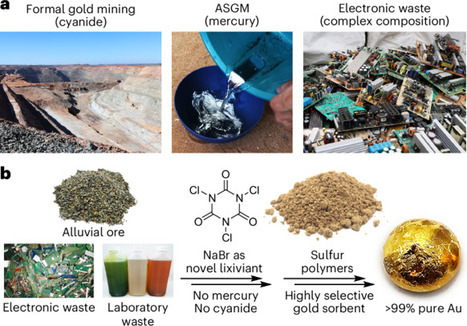 Sustainable gold extraction from ore and electronic waste | Nsus | RMH | Scoop.it