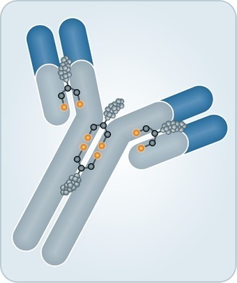 Abzena/Polytherics - Antibody Drug Conjugates | Immunology and Biotherapies | Scoop.it
