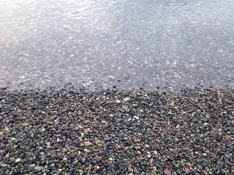 Simple distinctions between complicated and complex | Art of Hosting | Scoop.it