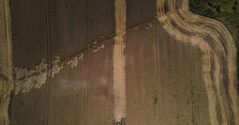 UKRAINE : The West needs to support Ukraine’s agricultural sector  | CONFLIT RUSSO-UKRAINIEN | Scoop.it