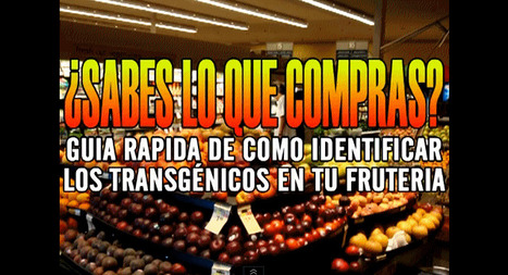 ¿Sabes Lo Que Compras? Guía rápida para identificar los transgénicos en tu frutería | PIENSA en VERDE | Scoop.it