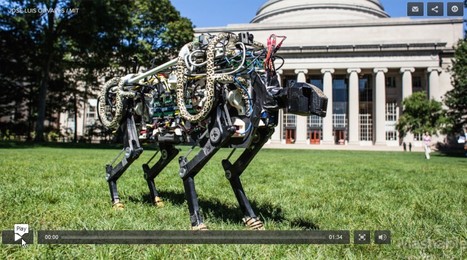 MIT's Robot Cheetah Is No Longer Bound to the Treadmill | 21st Century Innovative Technologies and Developments as also discoveries, curiosity ( insolite)... | Scoop.it