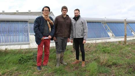 Flandre : deux éleveurs testent l’énergie solaire thermique pour chauffer de l’eau | Vers la transition des territoires ! | Scoop.it