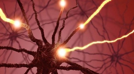 The Human Brain’s Remarkably Low Power Consumption, and How Computers Might Mimic its Efficiency | Biomimicry | Scoop.it