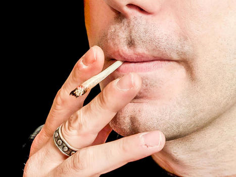 Le Cégep de Rimouski modifie sa politique de lutte contre le tabagisme pour y inclure le cannabis | Revue de presse - Fédération des cégeps | Scoop.it