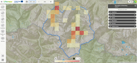 FaunaPyr : un nouveau portail de restitutions de vos observations spécifiques au massif pyrénéen | Vallées d'Aure & Louron - Pyrénées | Scoop.it