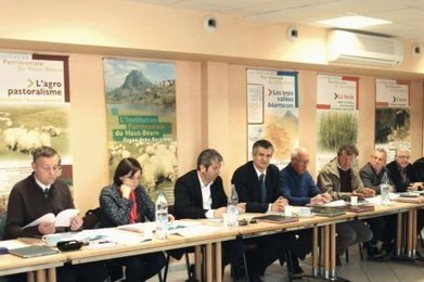 L'IPHB en soutien aux éleveurs équins et ovins | Pastoralisme Ours Loups Lynx | Scoop.it
