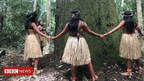 Amazon teenagers speak out as deforestation rates climb | ED262 mylineONLINE:  ClassMatters | Scoop.it