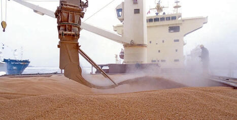 Russia boosts wheat exports via the Baltic to record levels amid Black Sea disruptions | MED-Amin network | Scoop.it