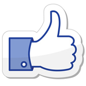 Facebook Flaw Lets Anyone Create Tons Of Fake &ldquo;Likes&rdquo; | Tampa Florida Public Relations | Scoop.it