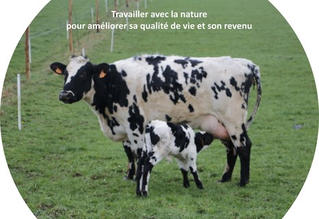 [Témoignage] « Notre élevage laitier dégage 80 000 € de revenu pour 40 heures de travail hebdomadaires » | Lait de Normandie... et d'ailleurs | Scoop.it