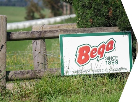 Australie : Les bénéfices de Bega Cheese sont en baisse de 74% | Lait de Normandie... et d'ailleurs | Scoop.it