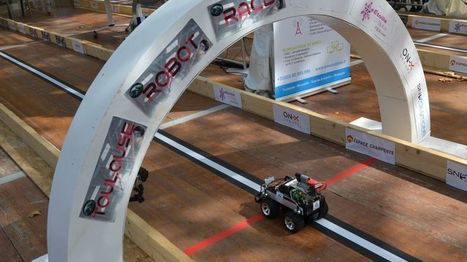 Toulouse : les robots ont fait le show dans le centre-ville | L'IRIT UMR5505 (CNRS-Toulouse INP-UT-UT Capitole-UT2) dans les médias en ligne | Scoop.it