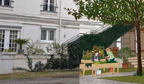 Créer un potager partagé dans une cour d’immeubles | Paris durable | Scoop.it