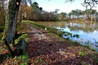 À Pouillon, le Sentier des Moulins dévoile ses secrets samedi 23 août | Landes - Conseils municipaux & communautaires | Scoop.it