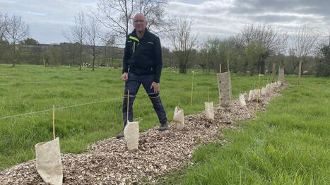 Agriculteur, Olivier ne cesse de planter pour reconstituer un paysage bocager - Ouest France | Agriculture en Pays de la Loire | Scoop.it