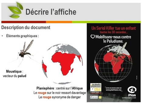 Diaporama &ndash; Contre le paludisme (&eacute;tude de doc) | Insect Archive | Scoop.it