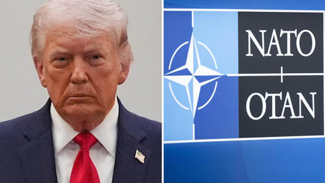 Pekar ut: Fem<br/>s&auml;tt Trump kan<br/>f&ouml;rst&ouml;ra Nato | 1Uutiset - Lukemisen t&auml;hden | Scoop.it