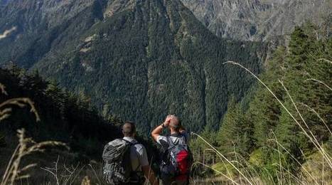 VIDEO. Nous sommes partis sur les traces des ours dans les Pyrénées | Biodiversité | Scoop.it