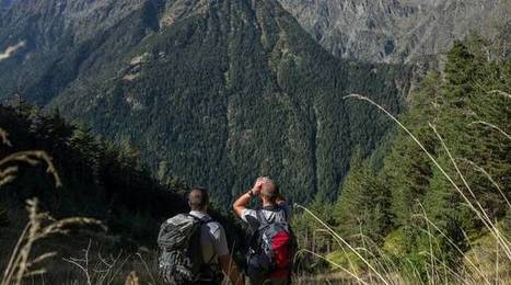 Sur les traces des ours dans les Pyrénées à Saint-Lary Soulan | Vallées d'Aure & Louron - Pyrénées | Scoop.it