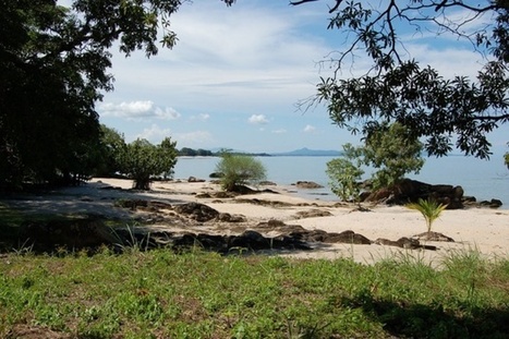Malawi : service de visa électronique dés le 1er novembre | Assurance Voyage Mondiale | Scoop.it