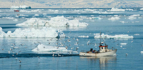 Unoc 2025 : n’oublions pas les océans polaires ! | Planète DDurable | Scoop.it