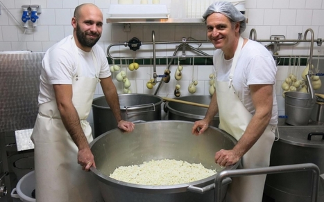 Ils fabriquent de la mozzarella artisanale made in Paris | Lait de Normandie... et d'ailleurs | Scoop.it