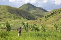 L’agro-écologie transformée en cheval de Troie de l’industrie | Questions de développement ... | Scoop.it