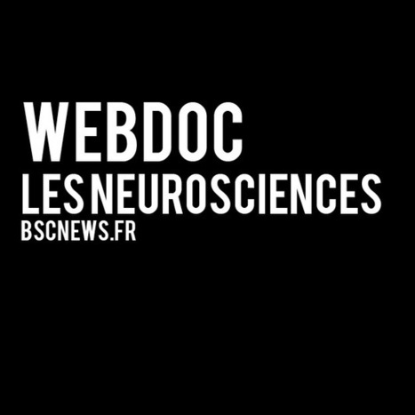 Les intelligences multiples : mise au point | Intelligences Multiples | Scoop.it