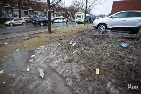 La neige fondante est un cocktail toxique de polluants, selon des chercheurs | Toxique, soyons vigilant ! | Scoop.it