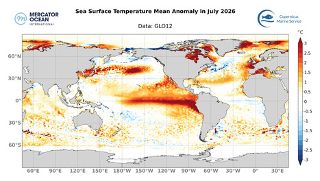 Ocean temperature bulletin - July 2026 -&nbsp;Mercator Ocean International | Biodiversit&eacute; : les chiffres-cl&eacute;s | Scoop.it