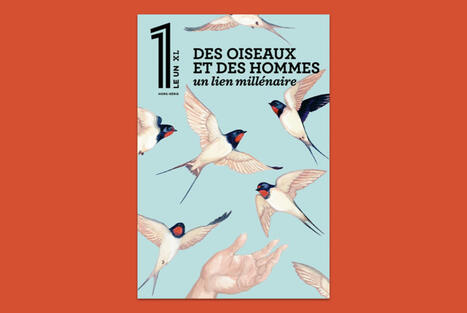 Des oiseaux et des hommes - Le 1Hebdo | Biodiversité | Scoop.it