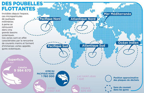 100 fois plus de plastique dans l&rsquo;oc&eacute;an Pacifique | Economie Responsable et Consommation Collaborative | Scoop.it