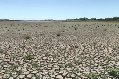 TURKEY : Istanbul's Büyükçekmece Lake faces extreme drought threat | CIHEAM Press Review | Scoop.it