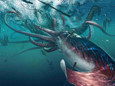 Google Earth : un internaute aurait d&eacute;couvert le Kraken ! | T&eacute;l&eacute;phone Mobile actus, web 2.0, PC Mac, et geek news | Scoop.it