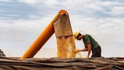 BRAZIL: How it is transforming global agricultural trade and trade within BRICS | AM&Eacute;RIQUES | Scoop.it