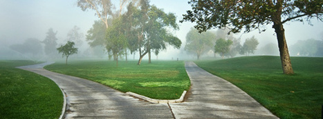 The Top Five Career Regrets | Professional Development for Public & Private Sector | Scoop.it