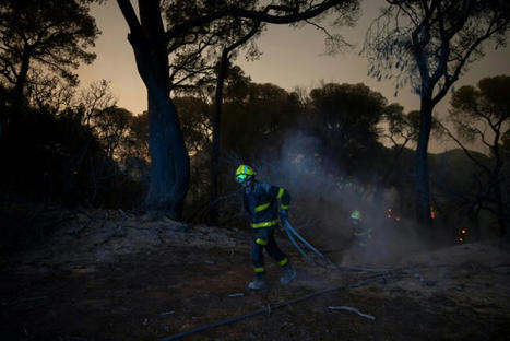 Spain, Portugal Battle Wildfires As Temperatures Soar - IBTimes.com | Agents of Behemoth | Scoop.it