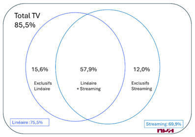 Usages audiovisuels : près de 60 % des internautes combinent TV linéaire et streaming dans le monde | Divertissement | Scoop.it