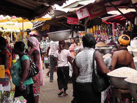 Making links from small farms to markets in Africa | Questions de développement ... | Scoop.it