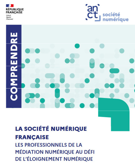La société numérique française: Les professionnels de la médiation numérique au défi de l'éloignement numérique | Compétences de base, illettrisme, illectronisme... | Scoop.it