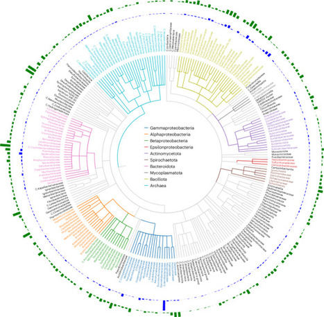 Large-scale analysis of bacterial genomes reveals thousands of lytic phages | Nmb | RMH | Scoop.it