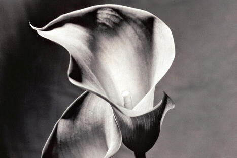 Läheisen kuolema – Listasimme hoidettavat käytännön asiat | 1Uutiset - Lukemisen tähden | Scoop.it