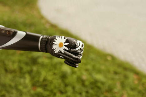 Pollinisation artificielle - Futura Sciences | Pour innover en agriculture | Scoop.it