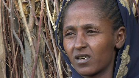 Can Ethiopia cope with worst drought in decades? - BBC News | Trending in Uganda | Scoop.it